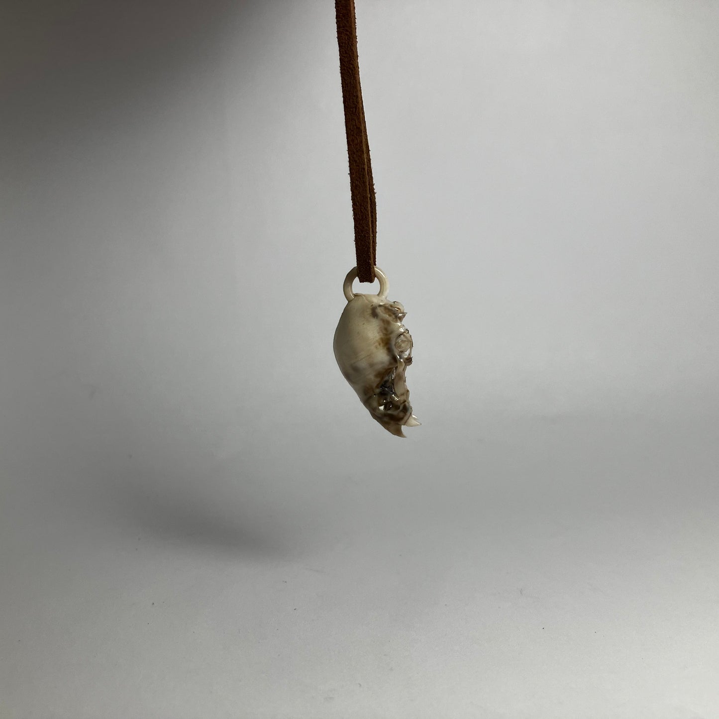 Vampire Bat Skull Pendant Necklace