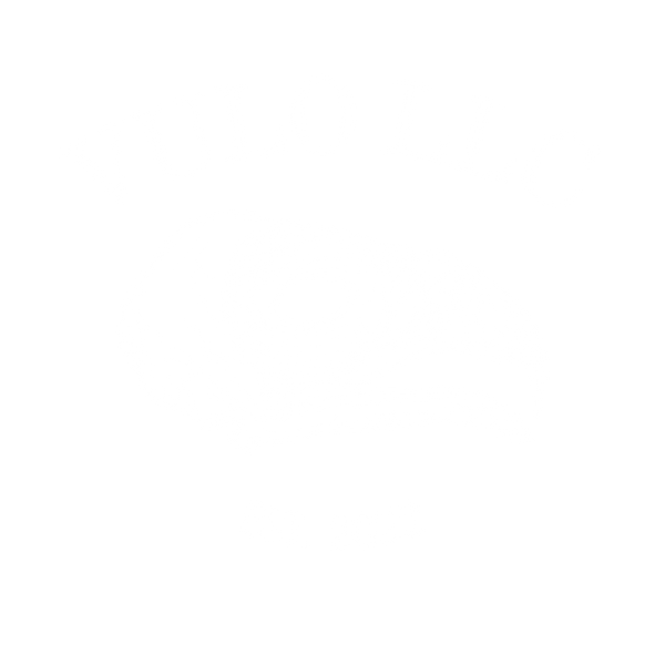 Vulo LLC